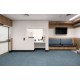 Swan PS813 Staron