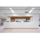 Swan PS813 Staron