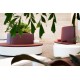 Natural SV041 Staron