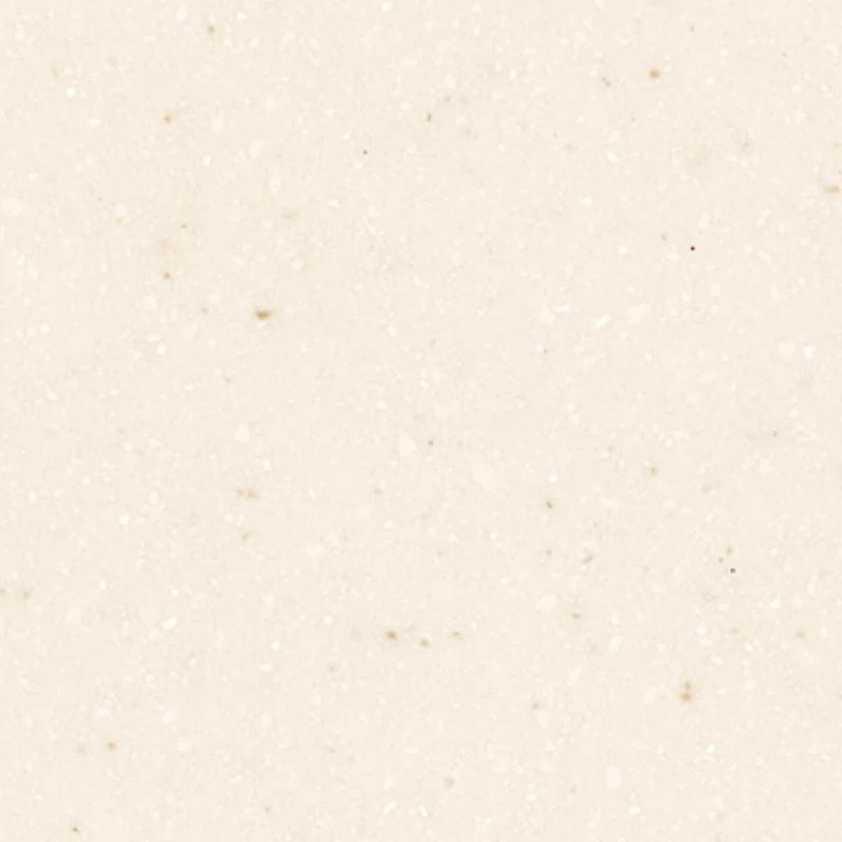 Seashell AS642