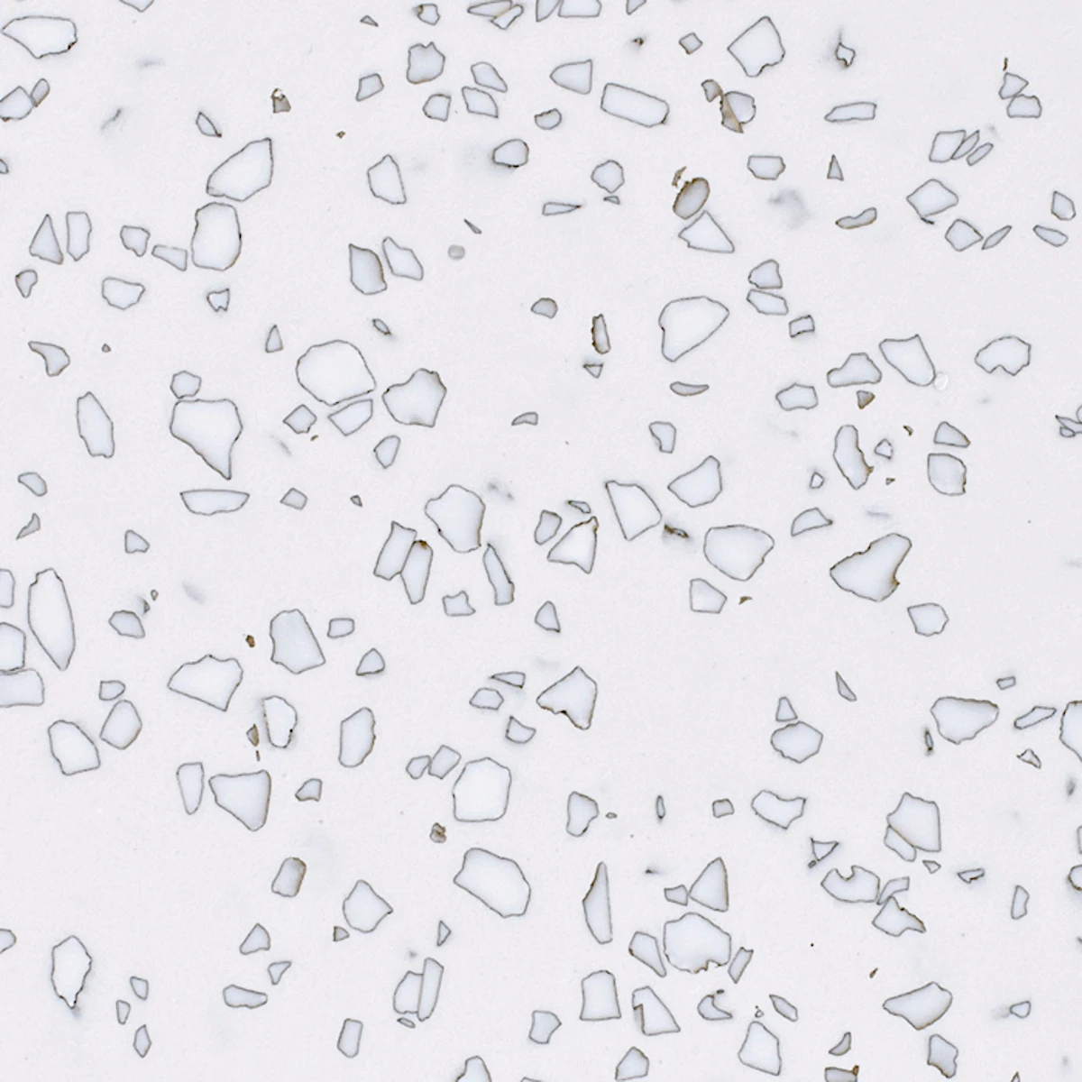 Dalmatian QD212